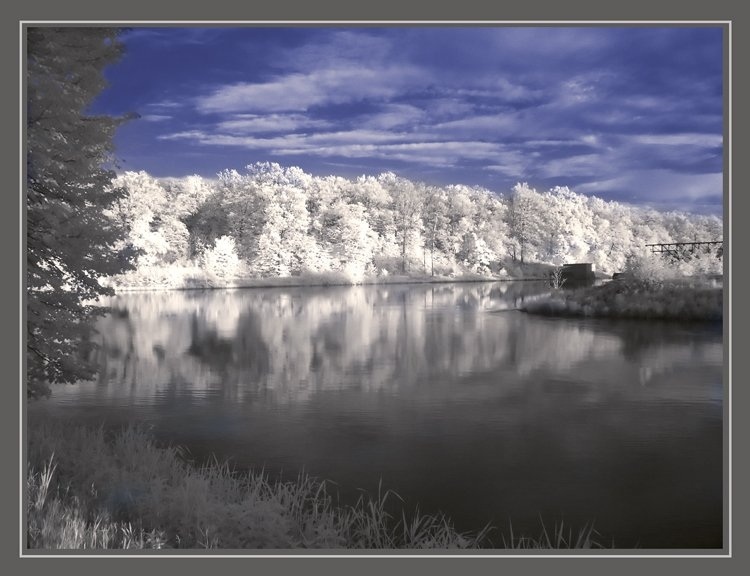 фото "white river" метки: пейзаж, вода, лес