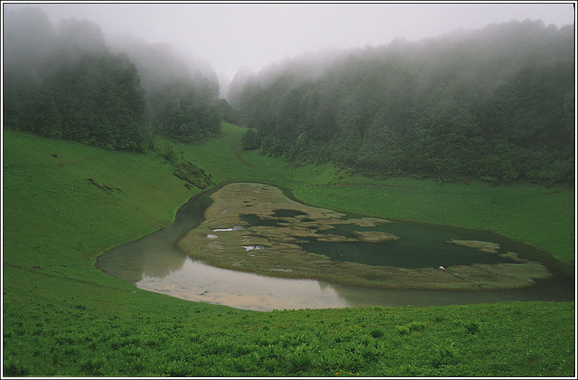 photo "Foggy morning" tags: landscape, mountains, summer