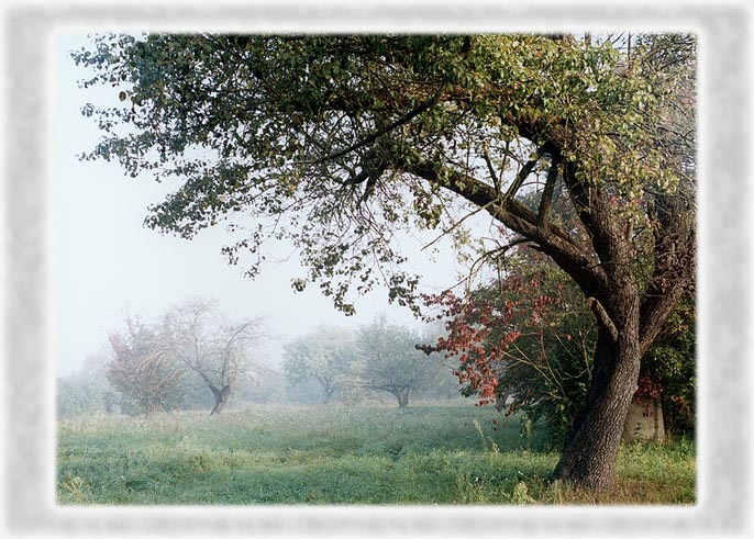 photo "Old garden" tags: landscape, autumn