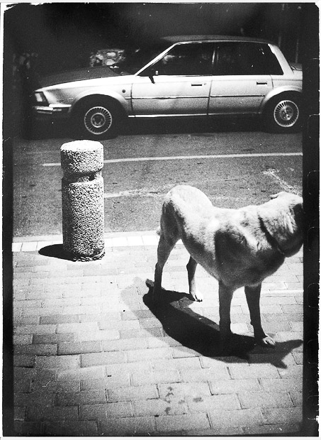 фото "3" метки: разное, 