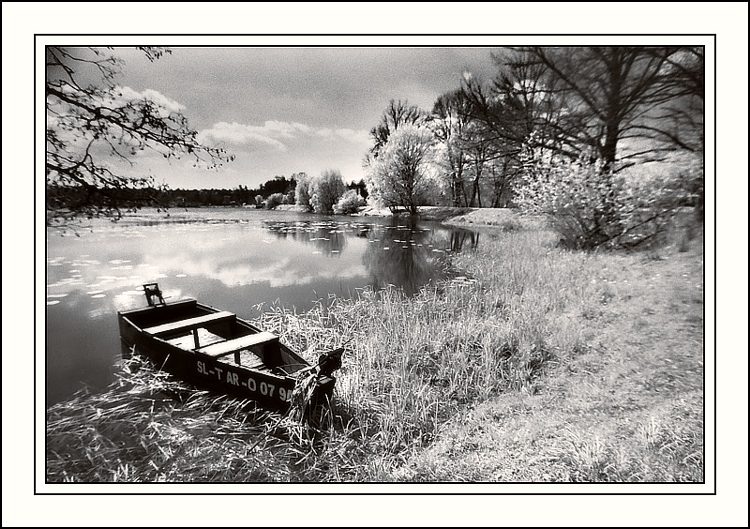photo "My first Infrared!!!" tags: black&white, 