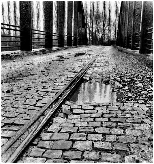 photo "upright" tags: black&white, 