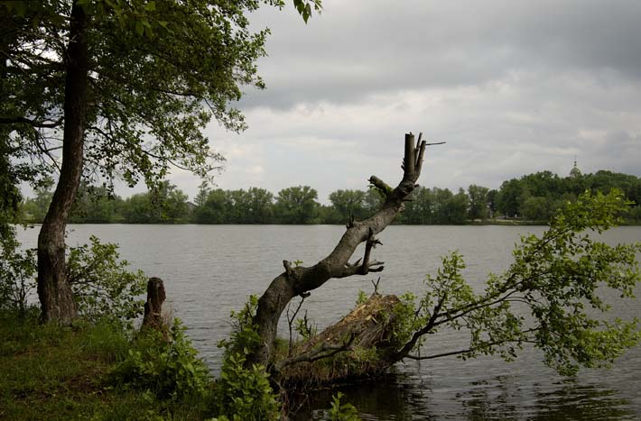 photo "Untitled photo" tags: nature, 