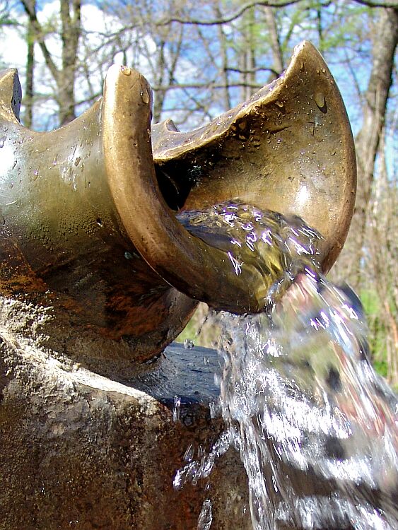 photo "Tasty water" tags: still life, genre, 