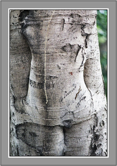 photo "body woman" tags: nature, misc., 