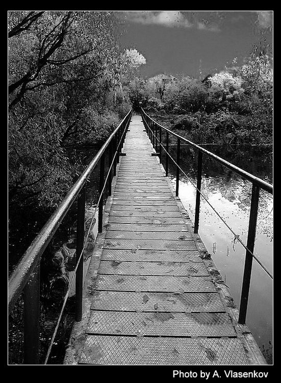 photo "The bridge" tags: landscape, black&white, autumn