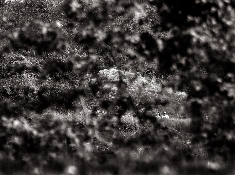 photo "Garden of Eden" tags: black&white, genre, 