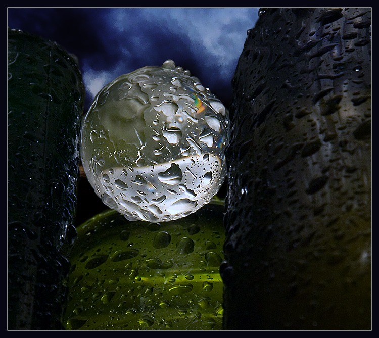 photo "Rain Generator" tags: still life, 