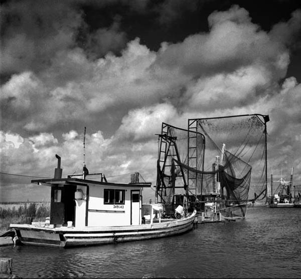 photo "shrimp boats" tags: landscape, 