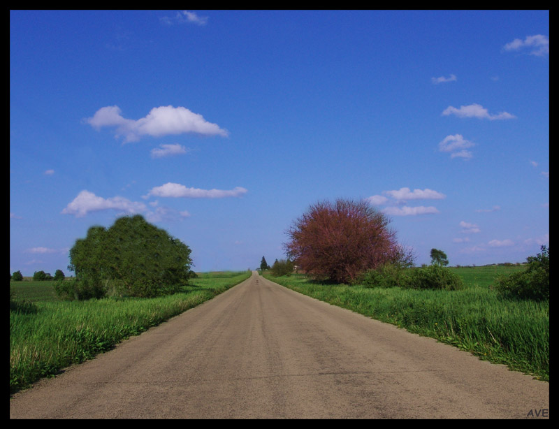 photo "on the road again..." tags: landscape, spring