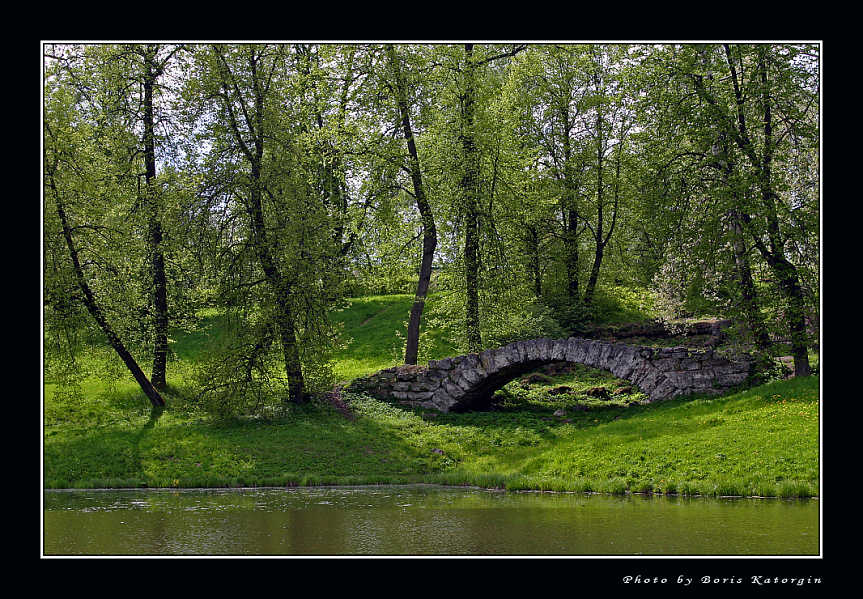 photo "Decorative bridge. From serial "Pavlovsk"" tags: landscape, forest, summer