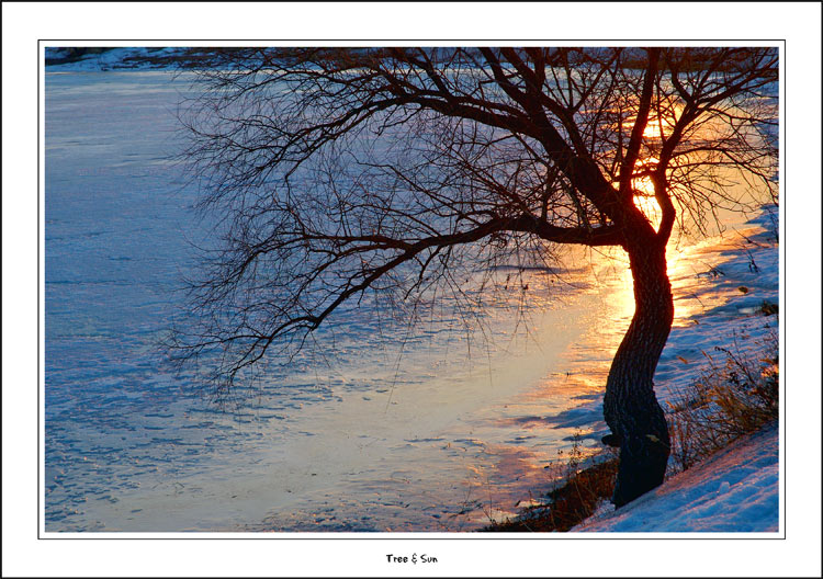 фото "Tree & Sun" метки: разное, пейзаж, весна