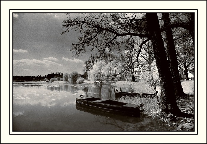 фото "Third Ir..." метки: черно-белые, 