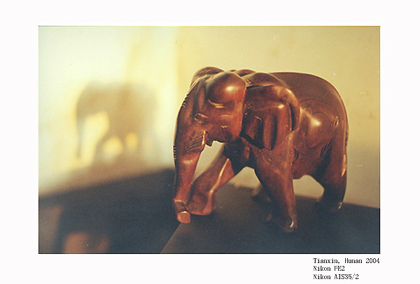 photo "My elephant" tags: still life, 