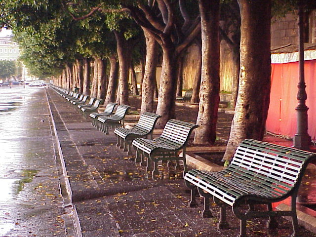 фото "Someone to sit!" метки: техника, 