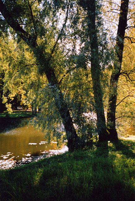 photo "*" tags: landscape, summer