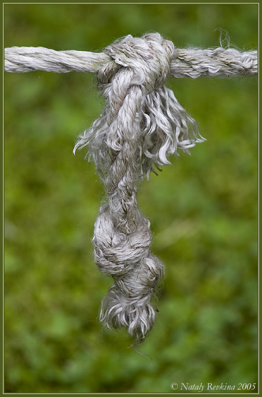 photo "A Nodule" tags: misc., 