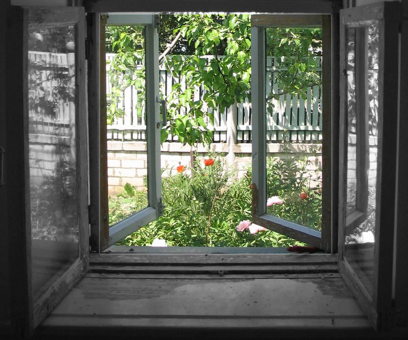 photo "window to summer" tags: genre, 