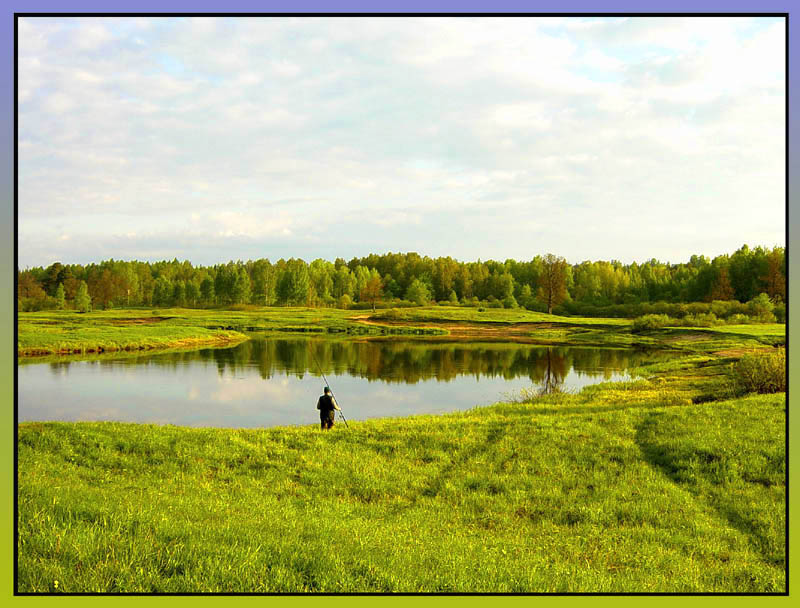 фото "На берегу" метки: пейзаж, вода, лес