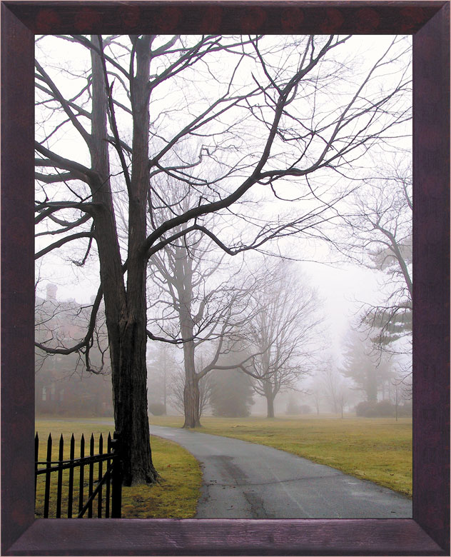 фото "Museum, The Foggy Day" метки: природа, 