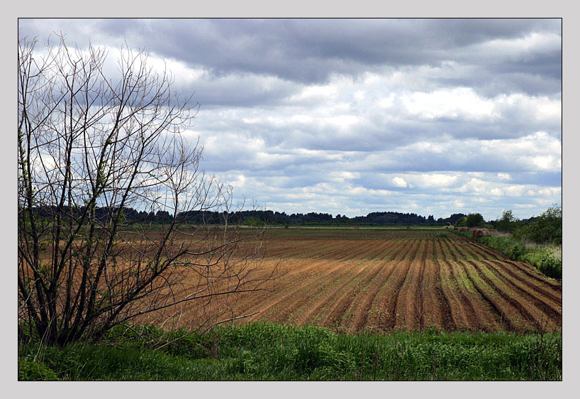 photo "Sowing campaign" tags: landscape, clouds, spring