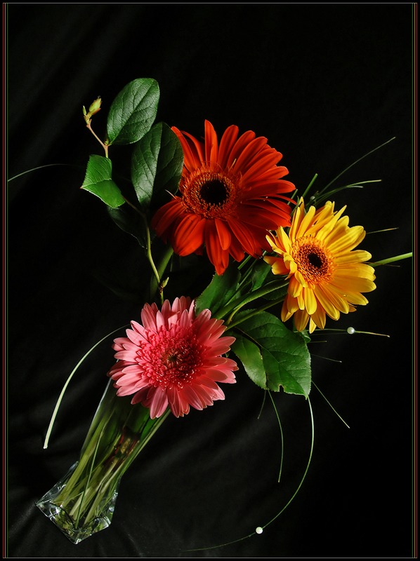 photo "***" tags: still life, misc., 