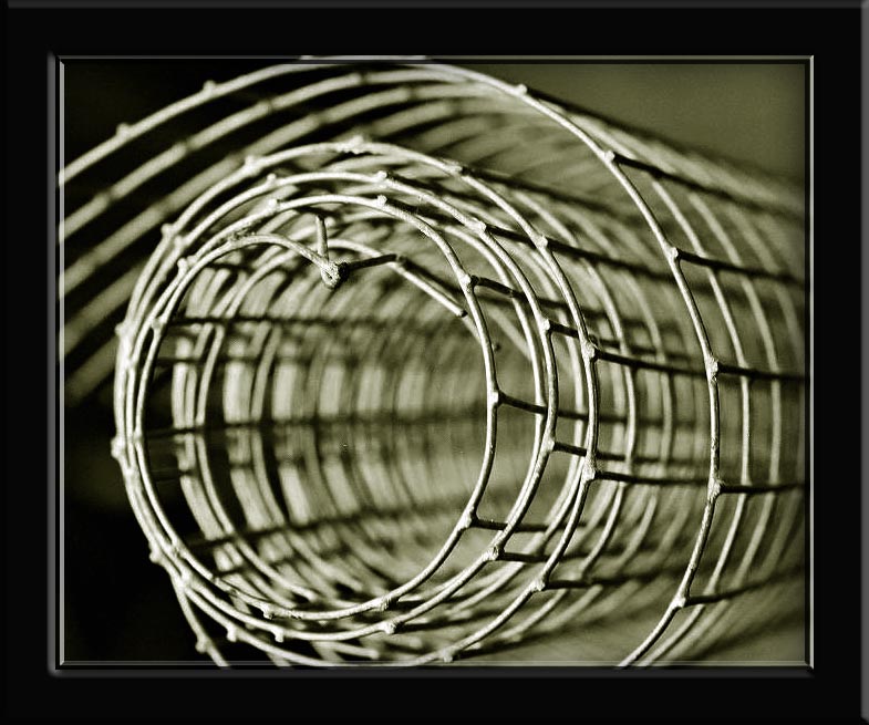 photo "The Wire" tags: abstract, macro and close-up, 