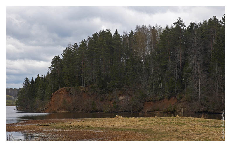 photo "Gloomy morning" tags: landscape, forest, water