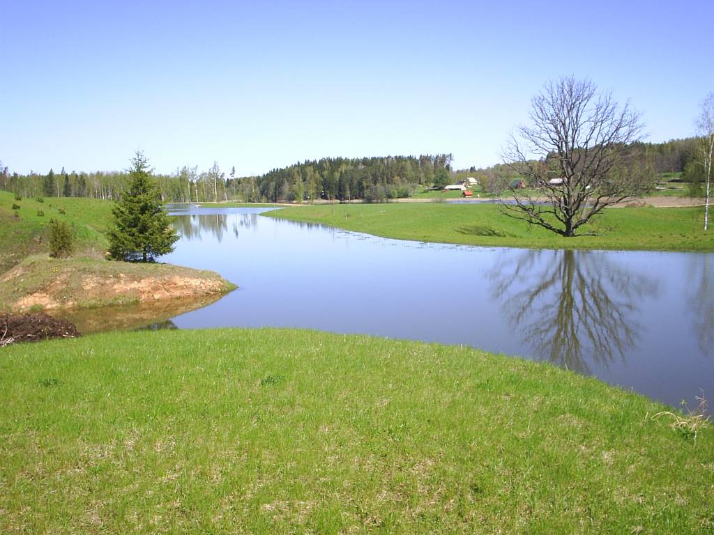 photo "Bring me the Sun" tags: landscape, spring, water