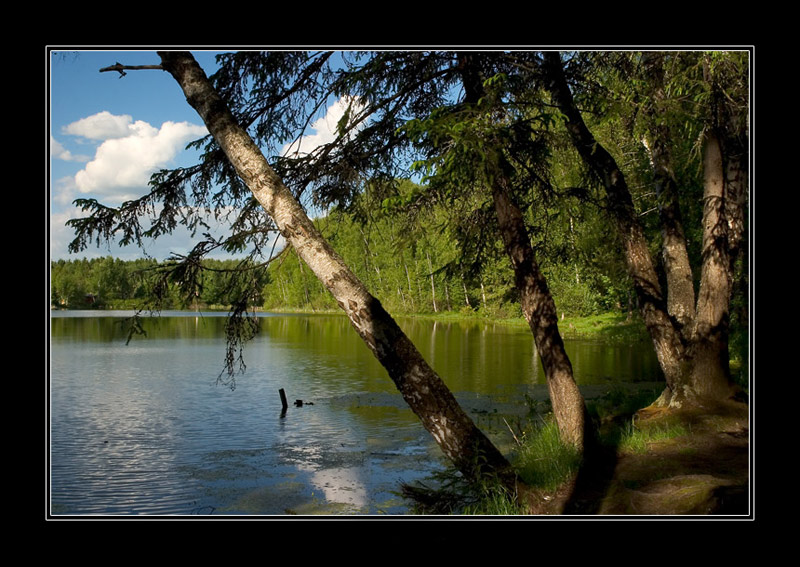 фото "early in the evening" метки: пейзаж, вода, лес