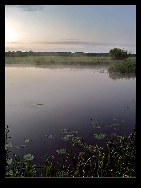 photo "*" tags: landscape, spring, sunset