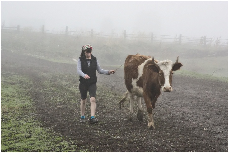 photo "The milkmaid" tags: nature, pets/farm animals