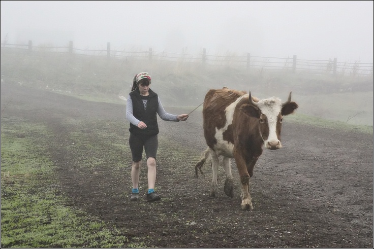 photo "The milkmaid" tags: nature, pets/farm animals