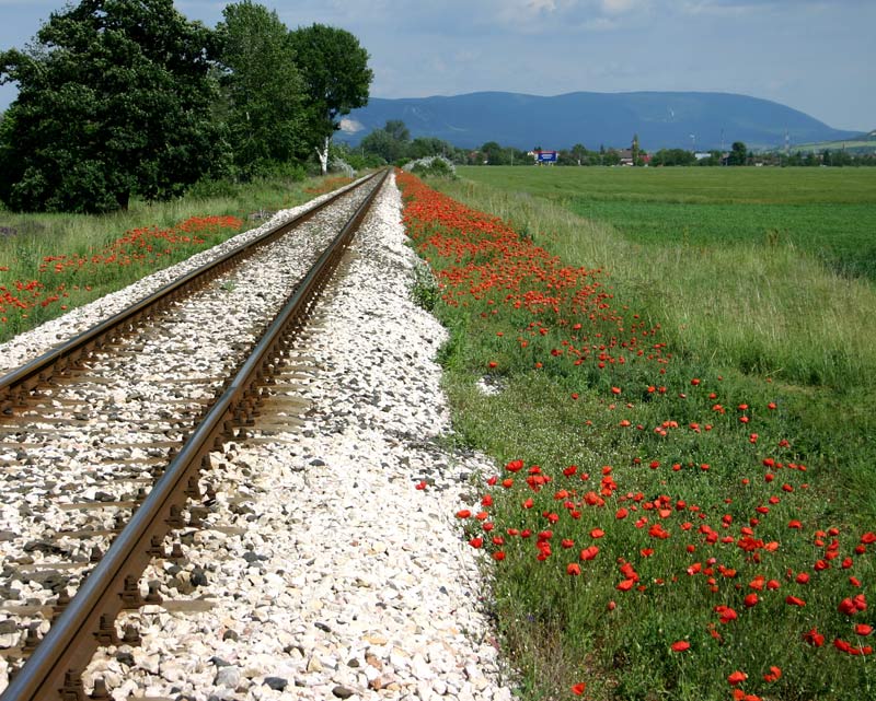 фото "paralelli" метки: пейзаж, 