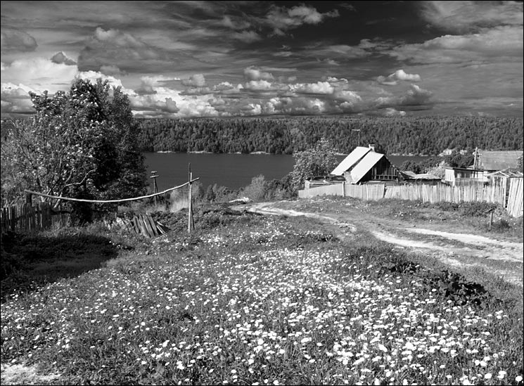 фото "К реке" метки: пейзаж, лето