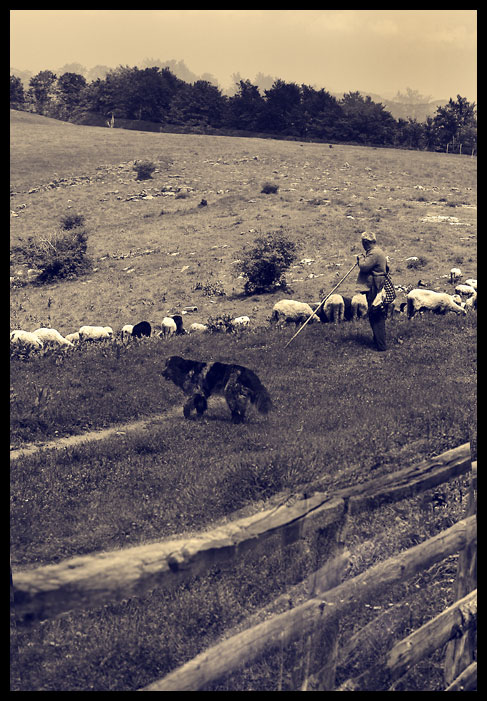 photo "Pastoral" tags: landscape, nature, mountains, pets/farm animals