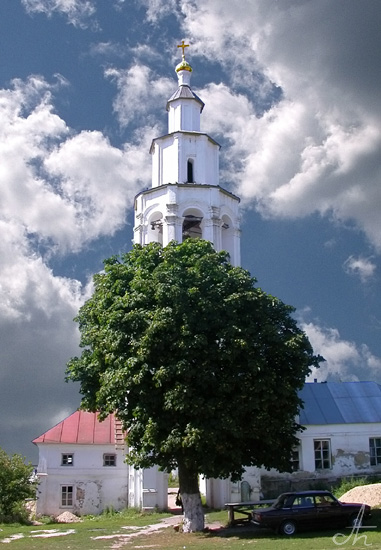 photo "Minster tree" tags: landscape, architecture, clouds