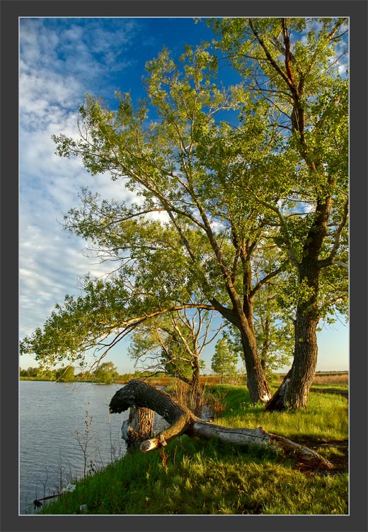 фото "Old and young" метки: разное, пейзаж, лето