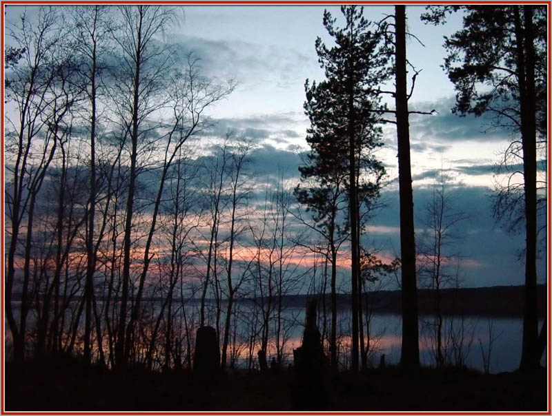 photo "Grew dark... (5)" tags: landscape, forest, sunset