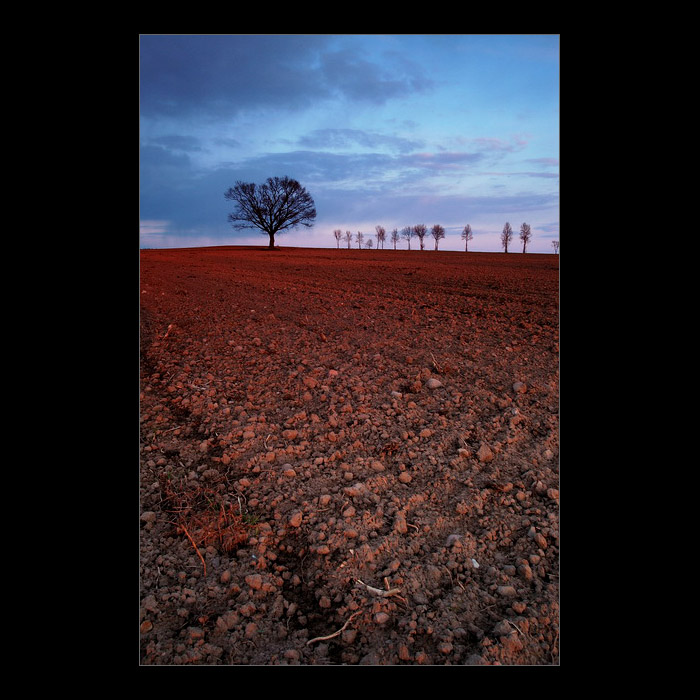 photo "..." tags: landscape, spring, sunset