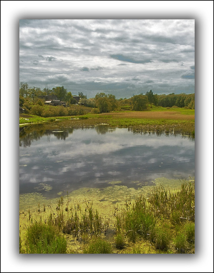 photo "At a silent pond" tags: landscape, summer, water