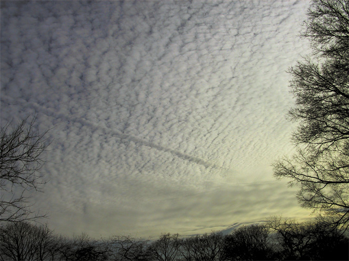 photo "The Sky" tags: nature, 