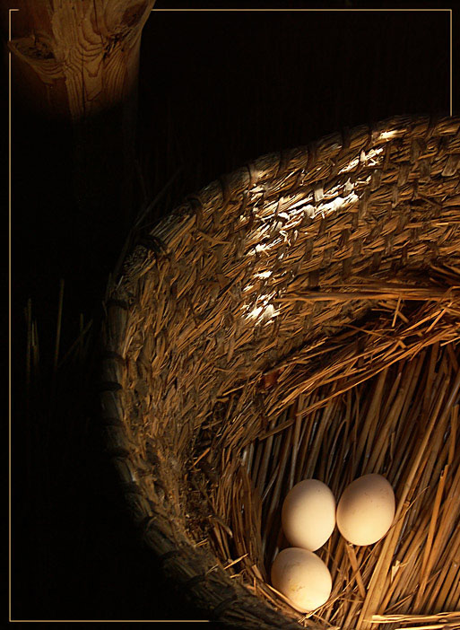 photo "Still-life with a basket" tags: still life, 