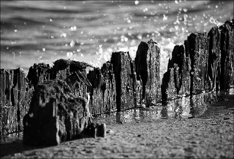 photo "***" tags: black&white, landscape, water