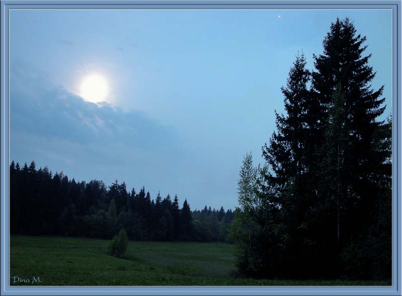photo "The wolf sun. A full moon" tags: landscape, forest, night