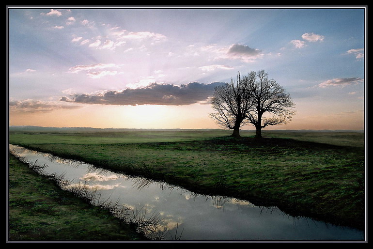 photo "two oaks" tags: landscape, spring