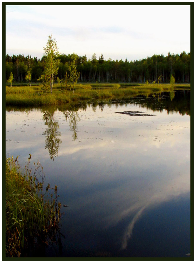фото "Горелое болото" метки: пейзаж, вода