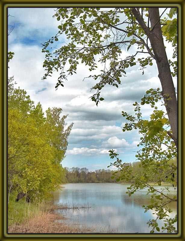 photo "Shelter of silence" tags: landscape, summer, water