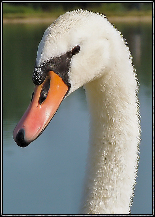 photo "Sadness - Lost in thought" tags: portrait, nature, 