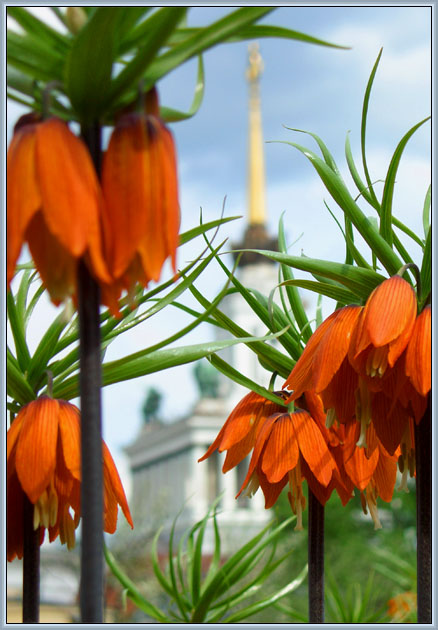 photo "Palace in jungle" tags: architecture, nature, landscape, flowers